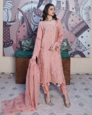 INARA [3piece] "Dreamy in Peach: Elevate your look with this charming peach-colored Attire.